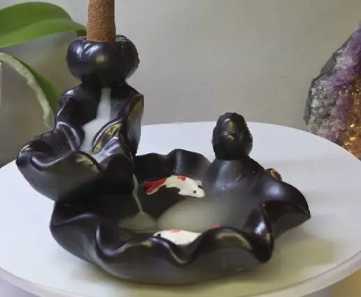 koi3