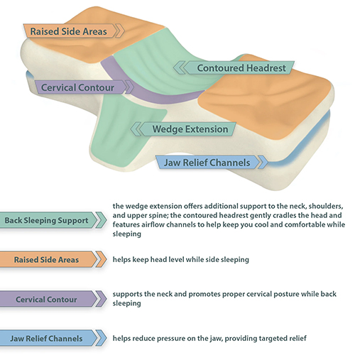 Therapeutica Cervical Sleeping Pillow Petite - Image 7