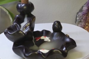 Koi Backflow Fountain